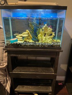 20gallon fish tank