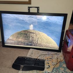 55" Monitor Or TV