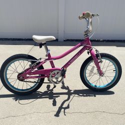 Kids Guardian Bike 16”