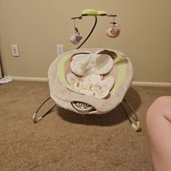 Baby Bouncer 