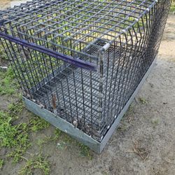 Chicken Hen Rooster BIRD CAGE 