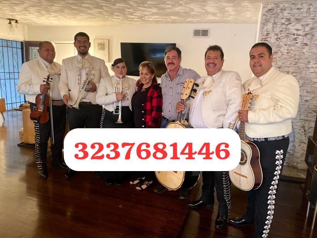 Trumpet Violín Mariachi 