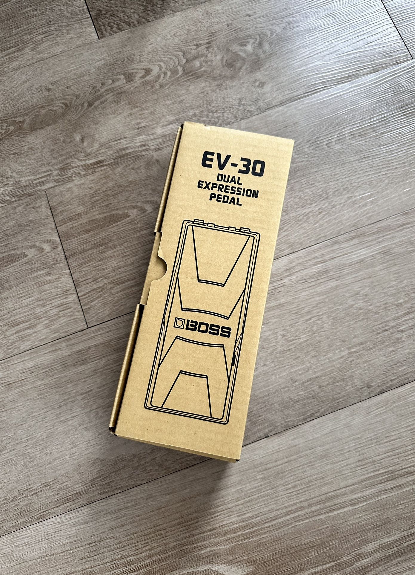 Boss Ev-30