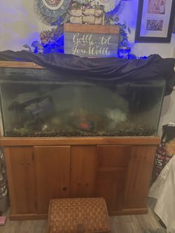 Selling Our Fish Tank For 150 Firm Everything Works!