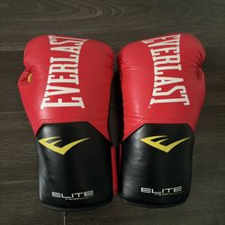 authentic Everlast boxing gloves