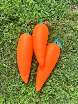 Carrots squishy