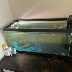 40 Gallon Aquarium - Used (Like New)
