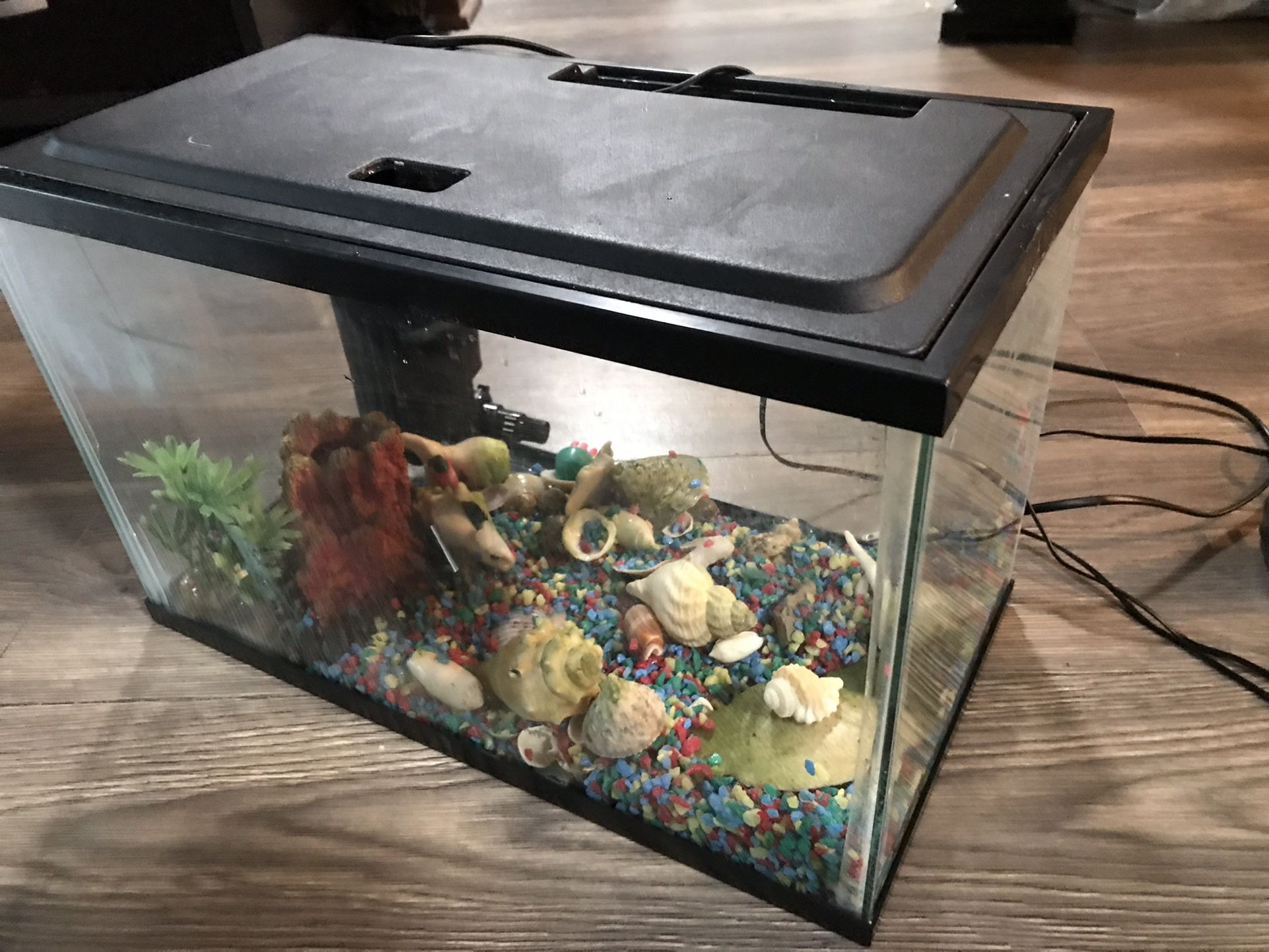 Fish tank with filter