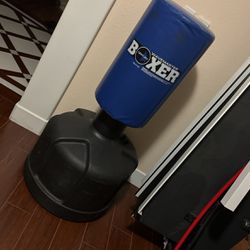 Boxer Century Boxing Punching Bag
