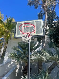 Portable Basketball Hoop with Backboard