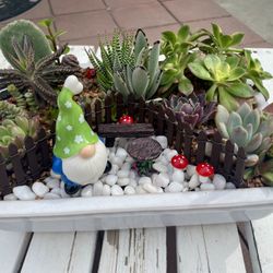 💚Gnome’s Lil Garden💚