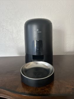 Automatic Cat Feeder