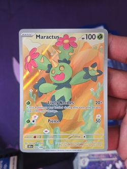 (IVM) Maractus ir