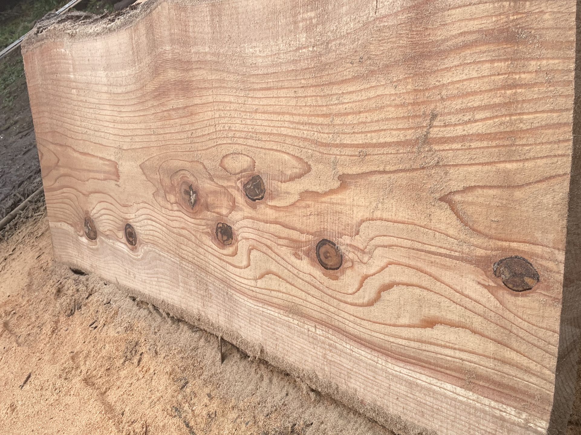 Gigantic Redwood Live Edge Slab