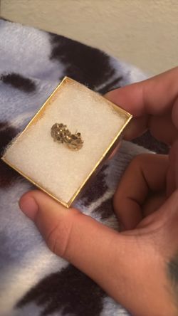 10 k gold (small) nugget earrings
