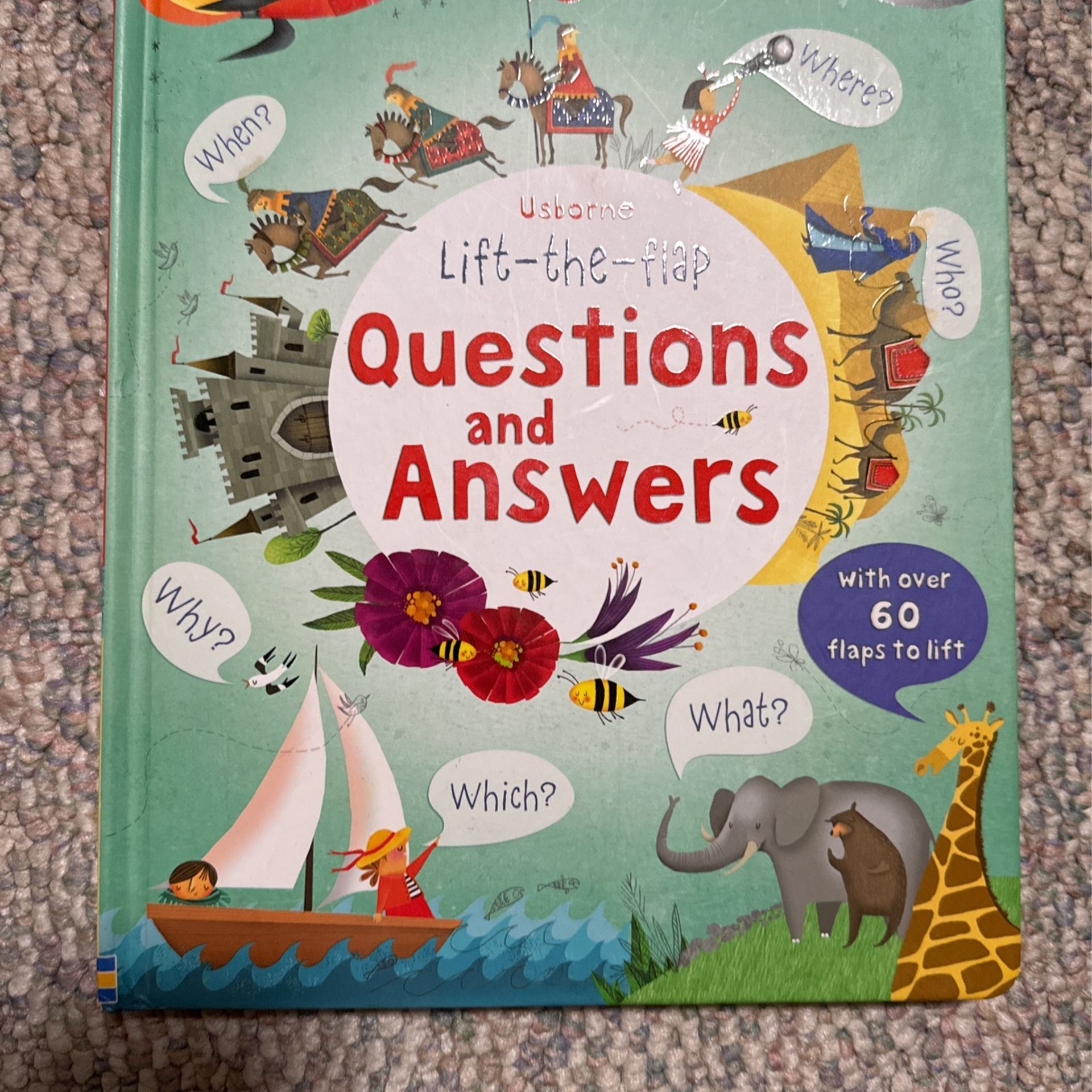 Usborne Q & A Book