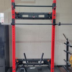 Rogue Fold Back Wall Mount