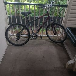 Trek bicycle cheap tacoma