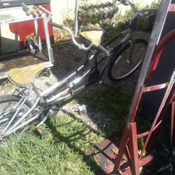 Two Person Bike