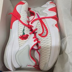 Giannis Shoes