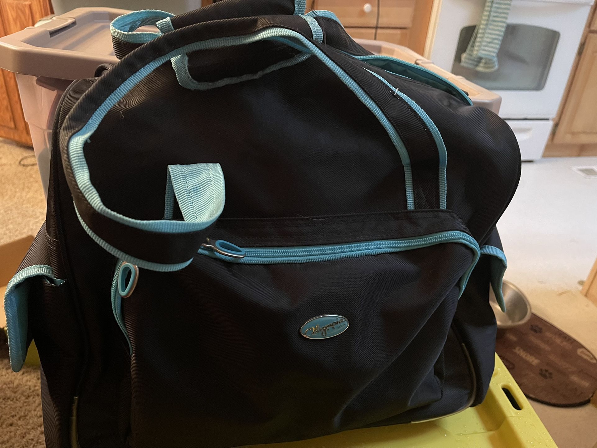 Blue Bag