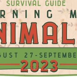 Burning Man Ticket 2023 And Free Bike