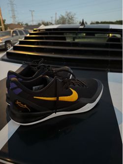 Kobe 8 protro lakers color size 14