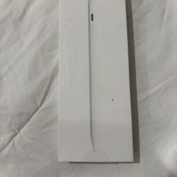 iPad Stylus