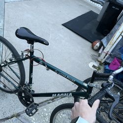 Glacier Point Magna Bike 15 Speed Mountain Bike Green 