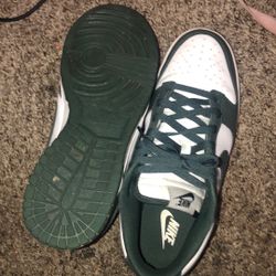 Nike Dunks In Good Condition