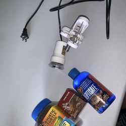 Reptile food And Basin 