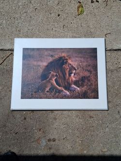 Creative Images Lion and Cub Picture
