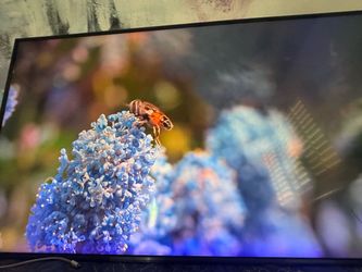 Samsung OLED tv 43 inches