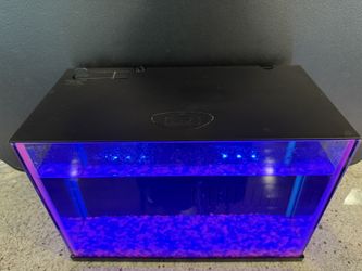 Fish Tank: Includes Rocks, Multi-Color Lighting, 2Fish Nets And tank Scrubbers. 