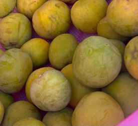 Zapote blanco.  2$ libra