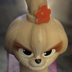 Girl Dog On Skateboard 