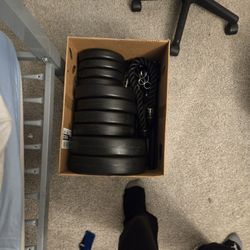 Weights 