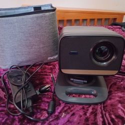 Miroir Black Projector    Model #L810S Pro