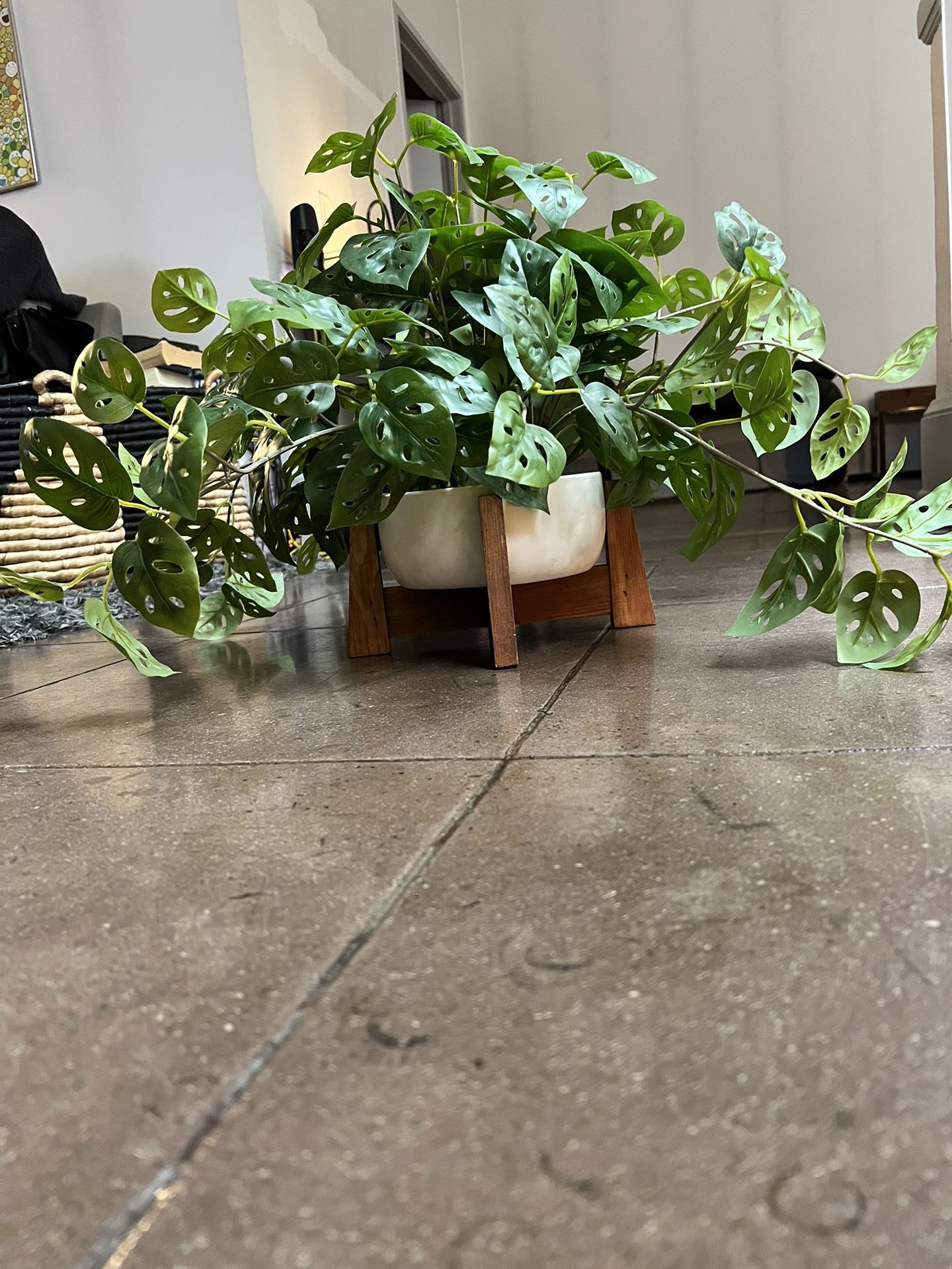 Designer Fake Plant