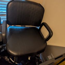 Salon Chair