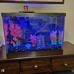 Glo Fish 20 Gallon.