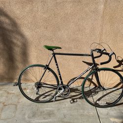 Fuji del Rey