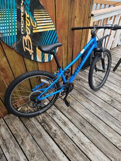 24" mondaine bike