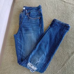 Ann Taylor Loft Womens Size 27/4 Medium Wash Mid Rise Distressed Modern Skinny