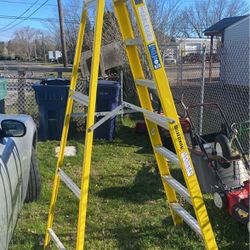 Michigan 8 Foot Ladder