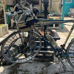 Nishik Custom 12 Speed Race Bike Vintage? 