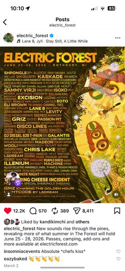 Electric forest ticket