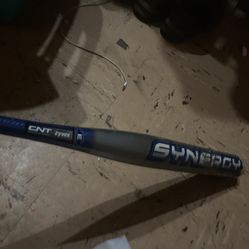 Synergy Softball Bat