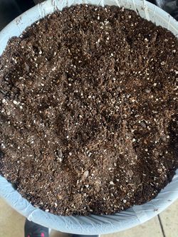 potting soil