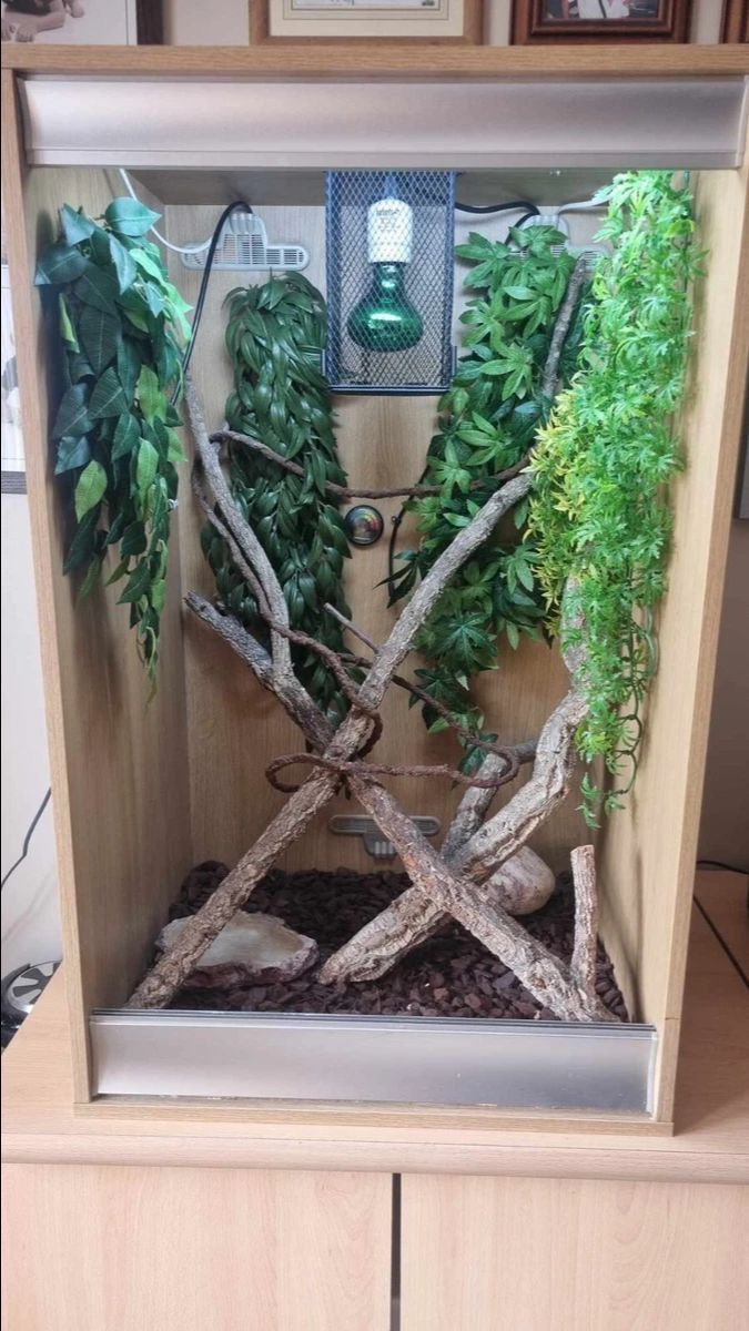 Vivarium Enclosure